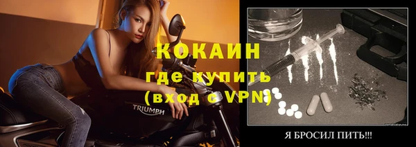 твердый Козловка