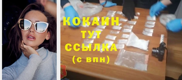 твердый Козловка
