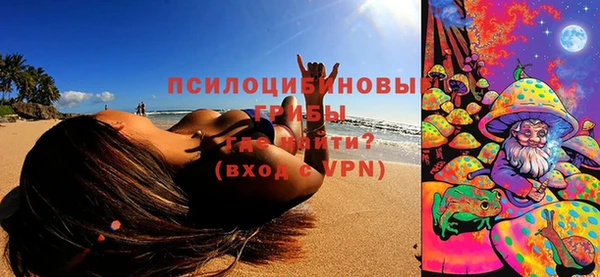 МДПВ Козельск