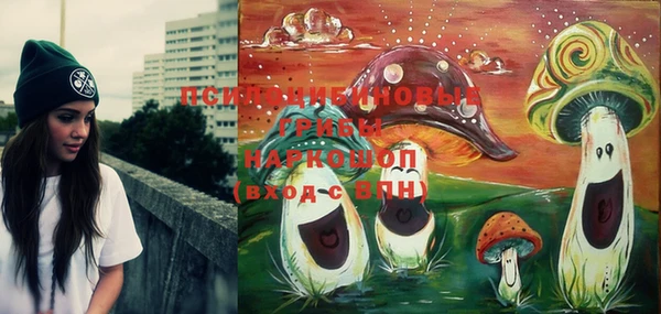 твердый Козловка