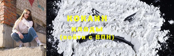 твердый Козловка