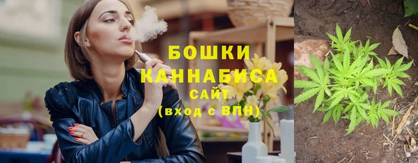 МДПВ Козельск