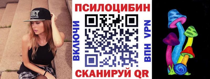 Купить где  Пушкино  Псилоцибиновые грибы Cubensis 